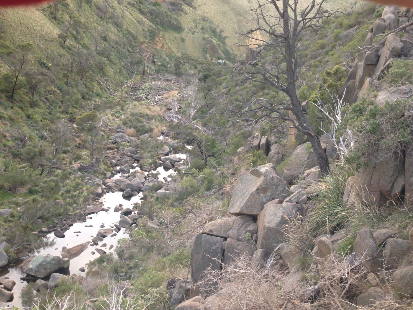 Ingliston granites & falcons circuit hike (6. 4km) (7)