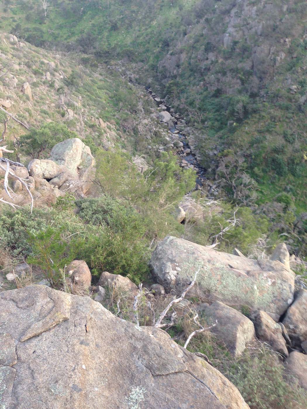 Ingliston granites & falcons circuit hike (6. 4km) (9)