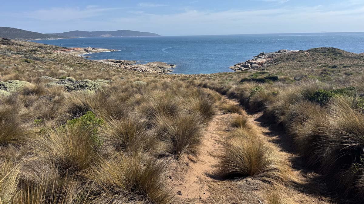 Jacksons cove hike 12