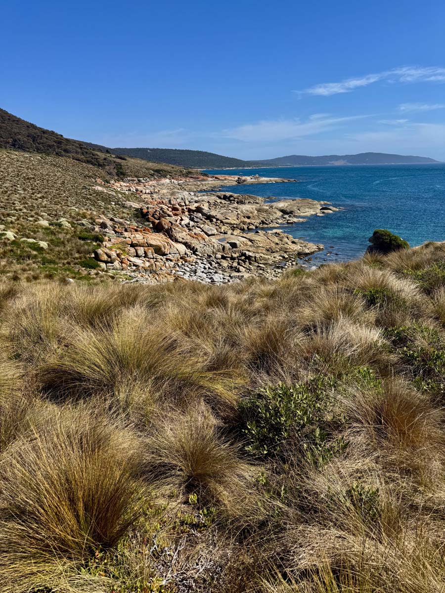 Jacksons cove hike 13