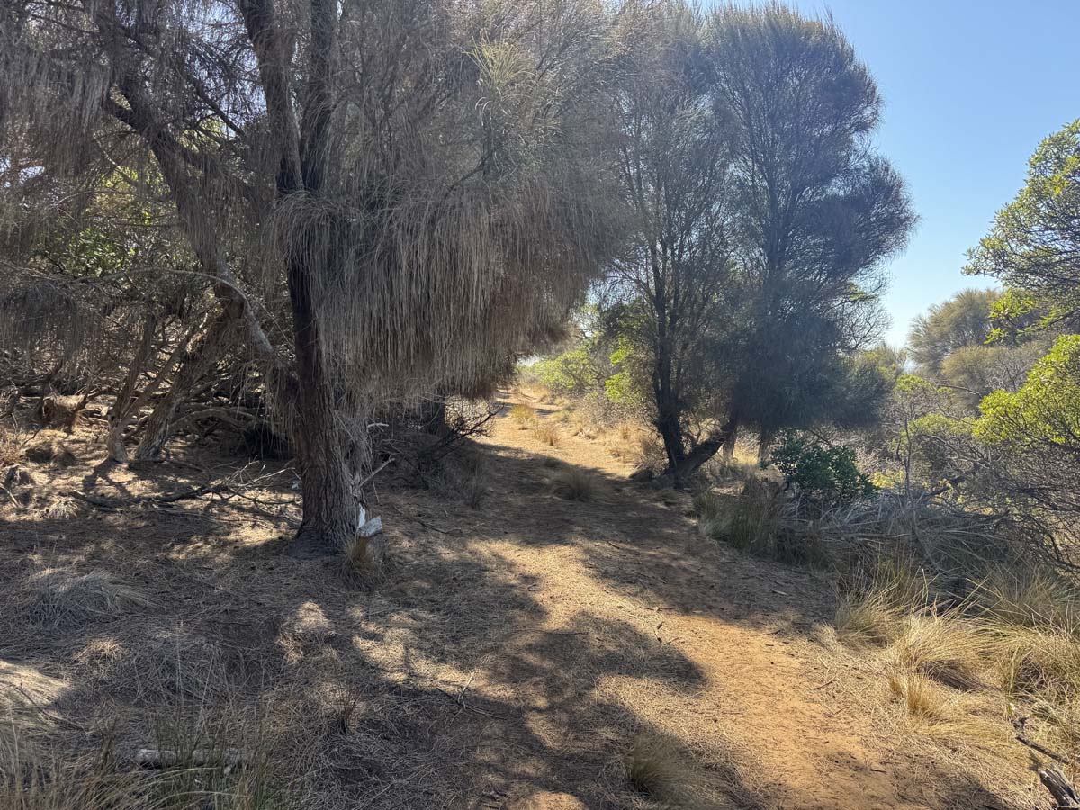 Jacksons cove hike 9