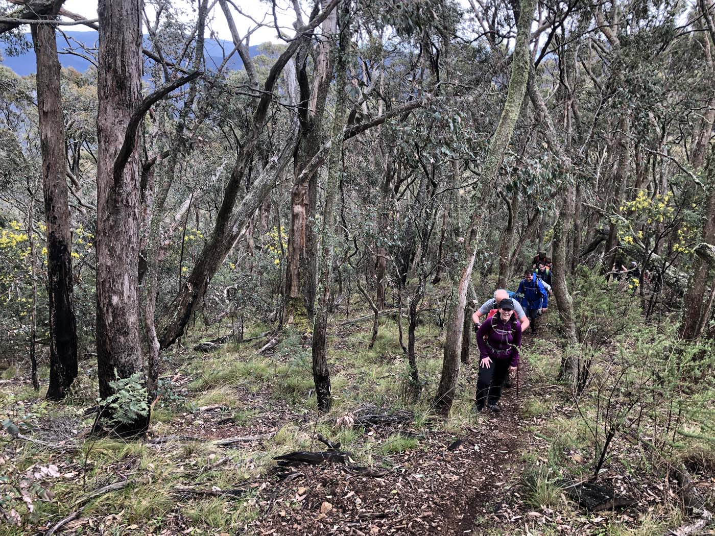 Jerusalem creek pinnacle (15)