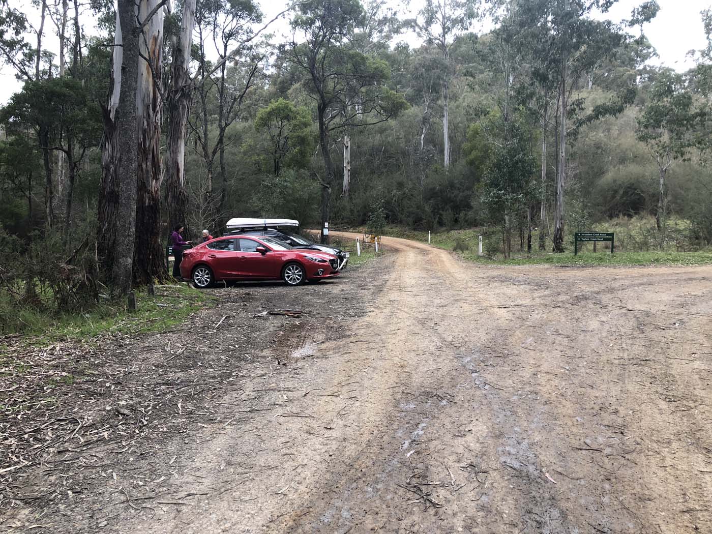 Jerusalem creek pinnacle (2)