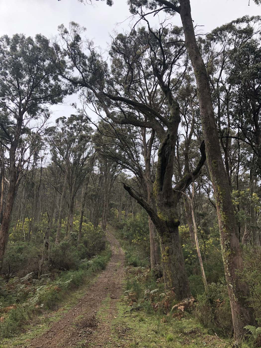 Jerusalem creek pinnacle (23)