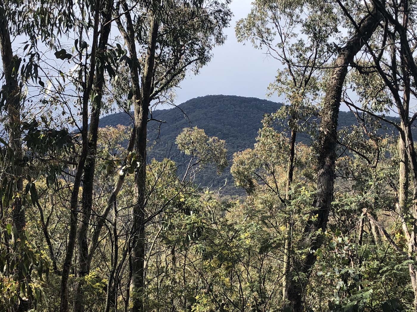 Jerusalem creek pinnacle (33)