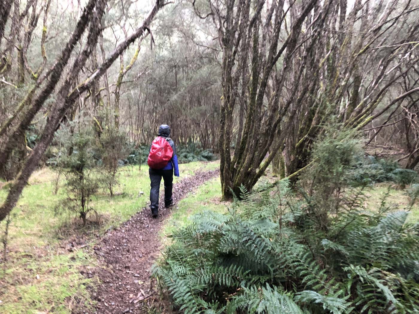 Jerusalem creek pinnacle (4)