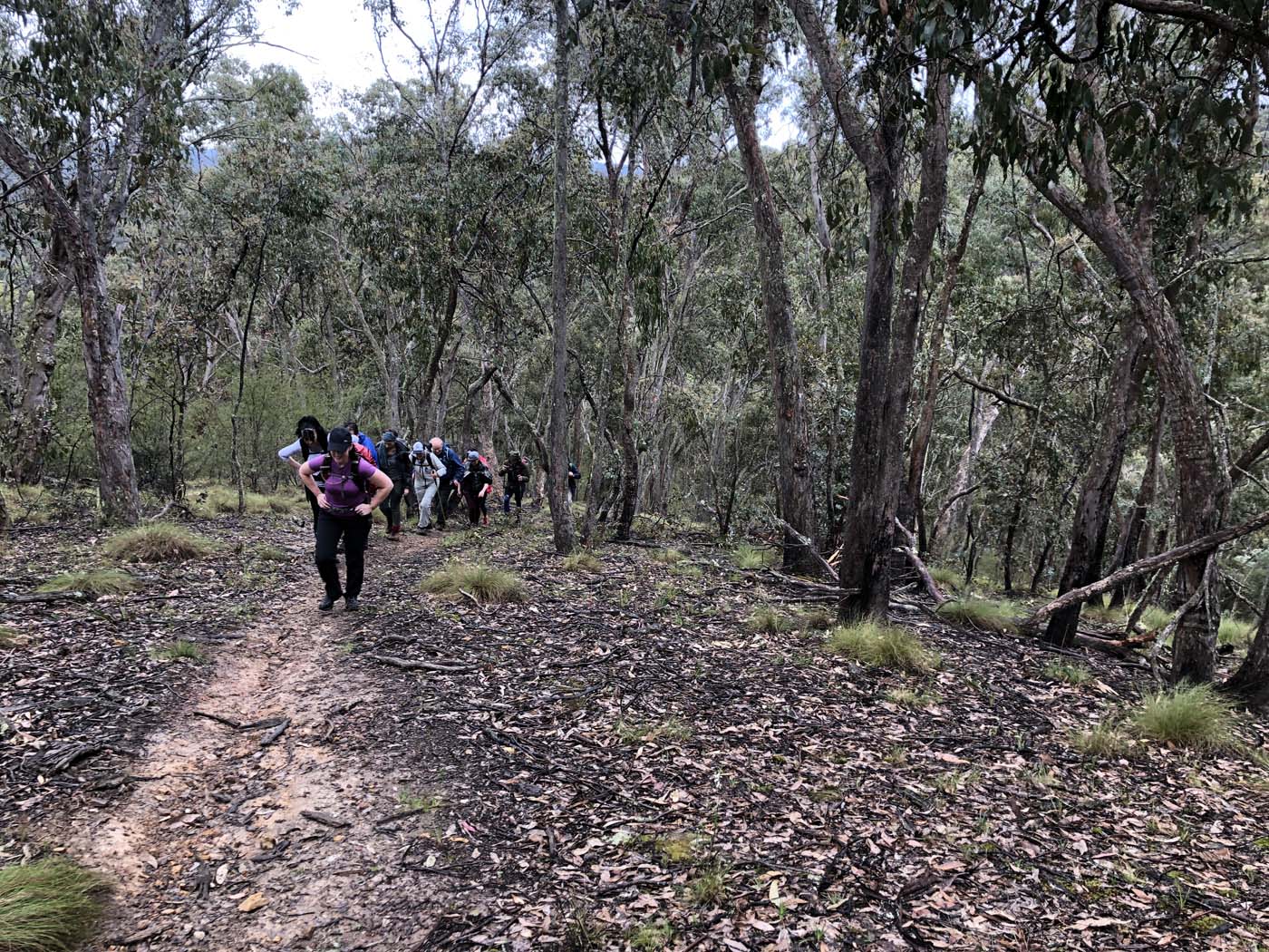 Jerusalem creek pinnacle (7)