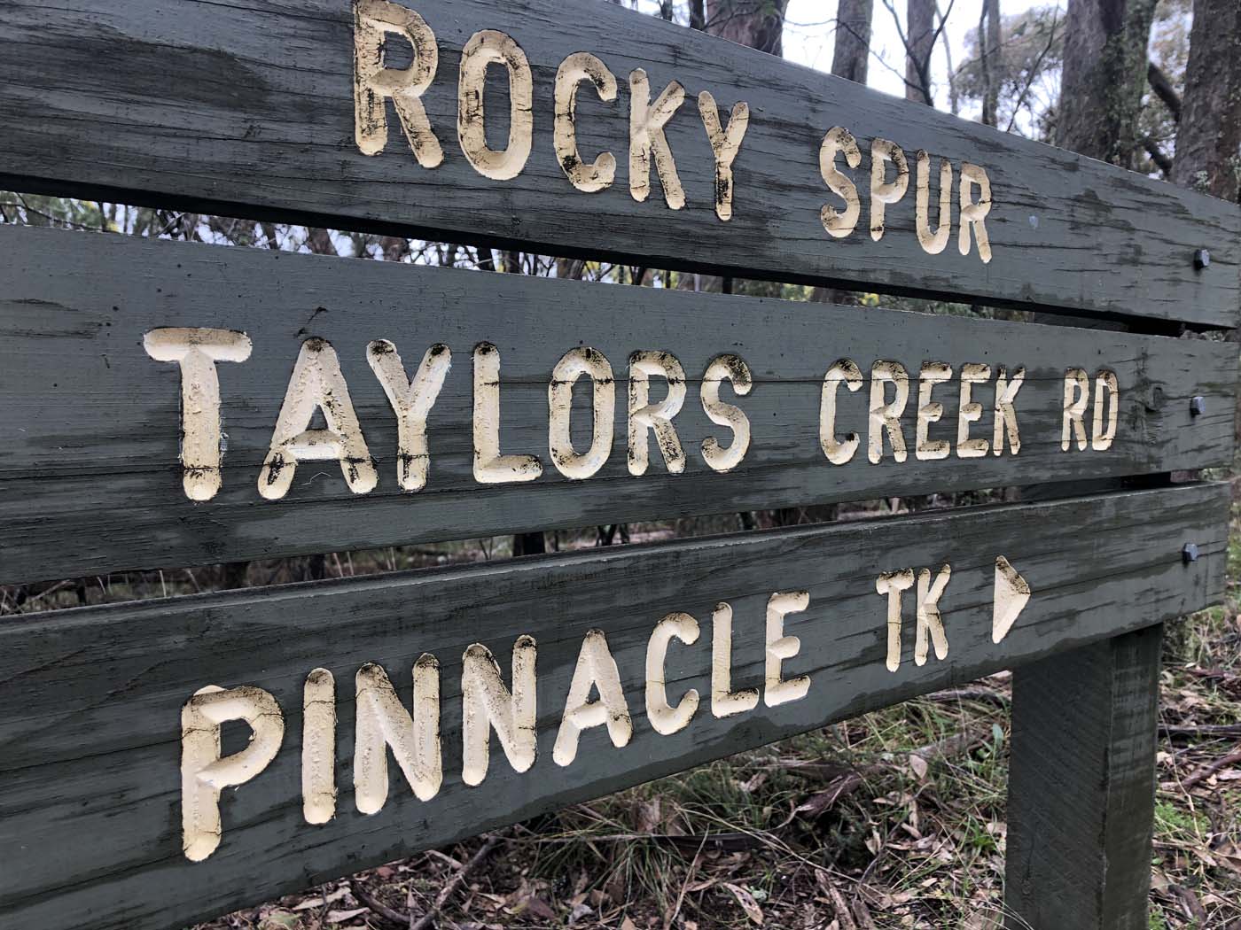 Jerusalem creek pinnacle (12)