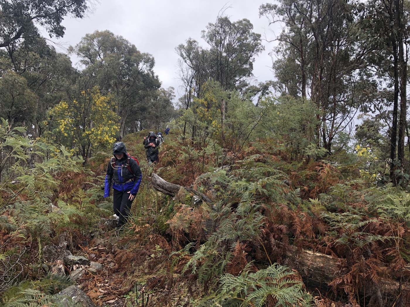 Jerusalem creek pinnacle (18)