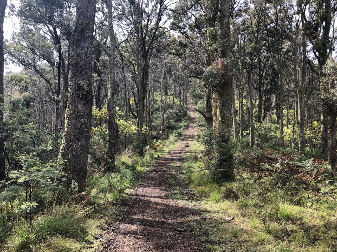 Jerusalem creek pinnacle (22)