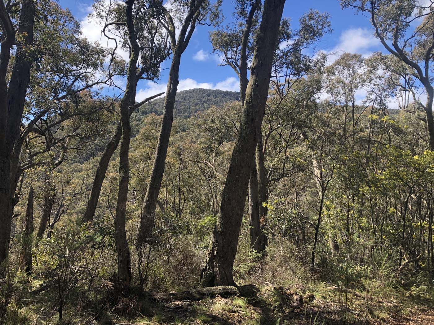 Jerusalem creek pinnacle (25)