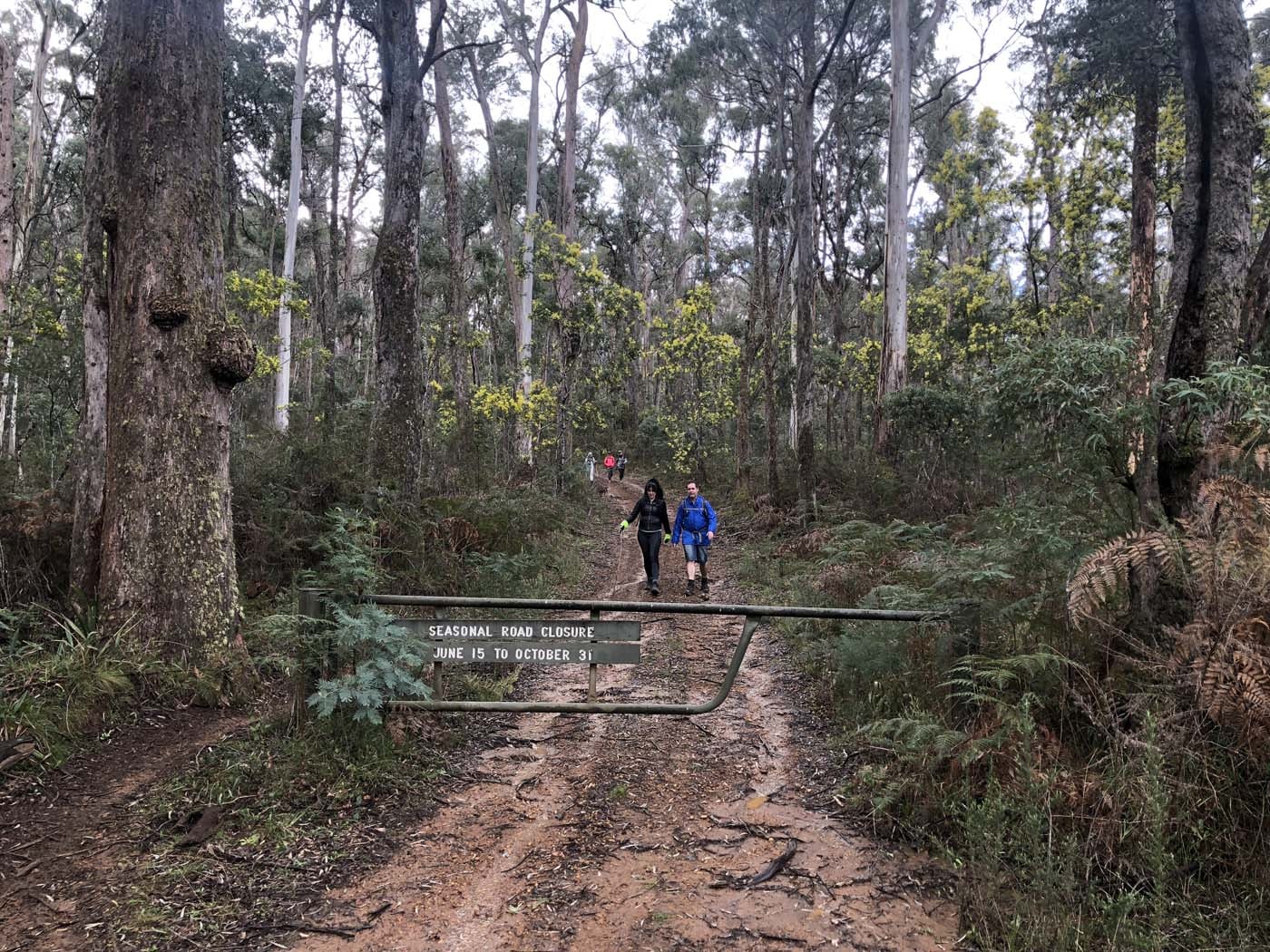 Jerusalem creek pinnacle (28)