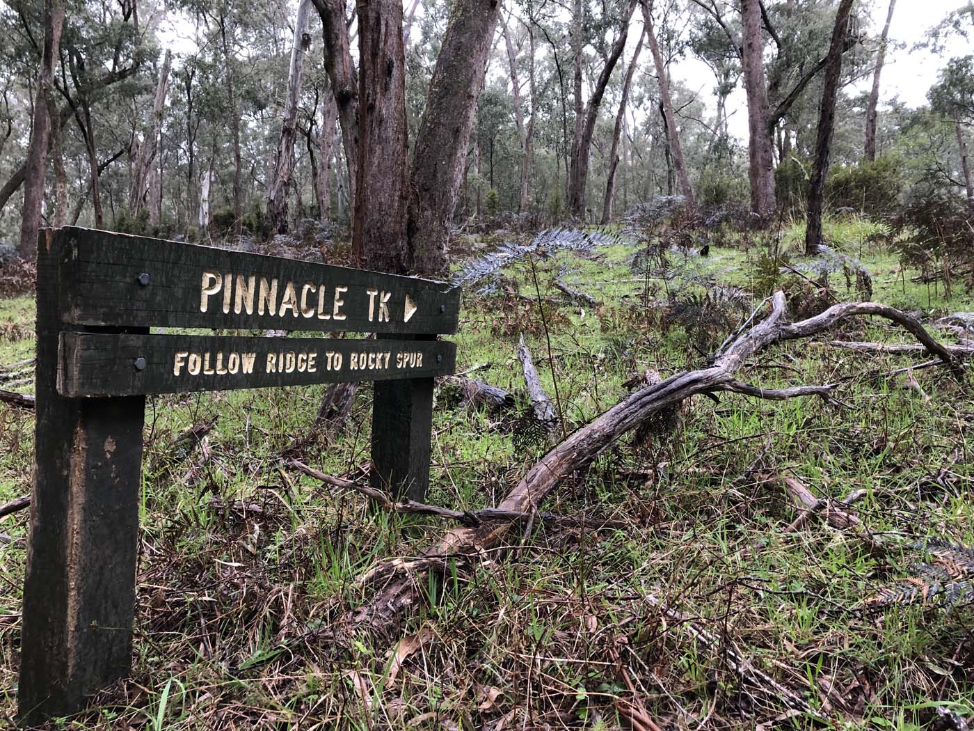Jerusalem creek pinnacle (5)