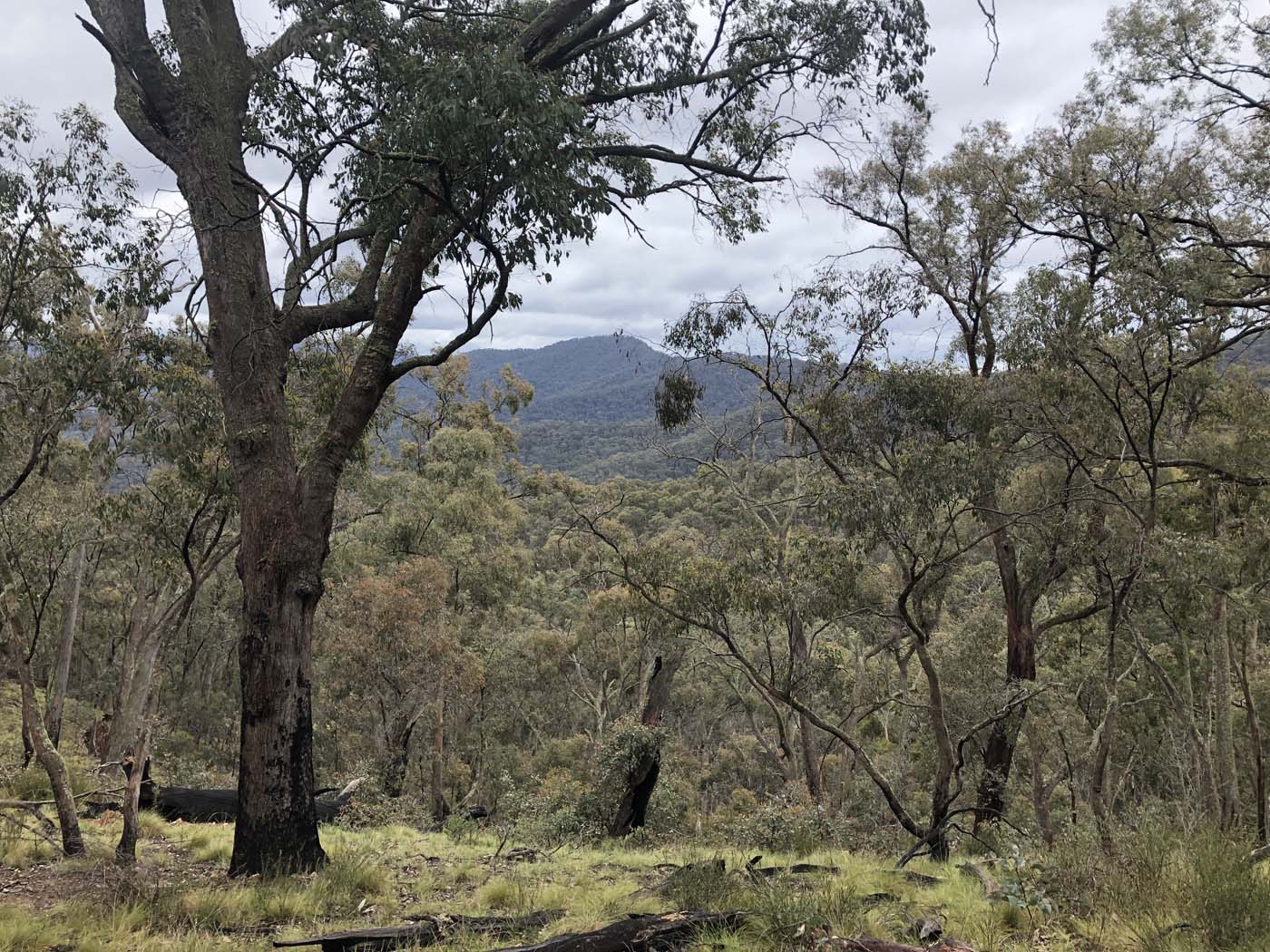 Jerusalem creek pinnacle (9)