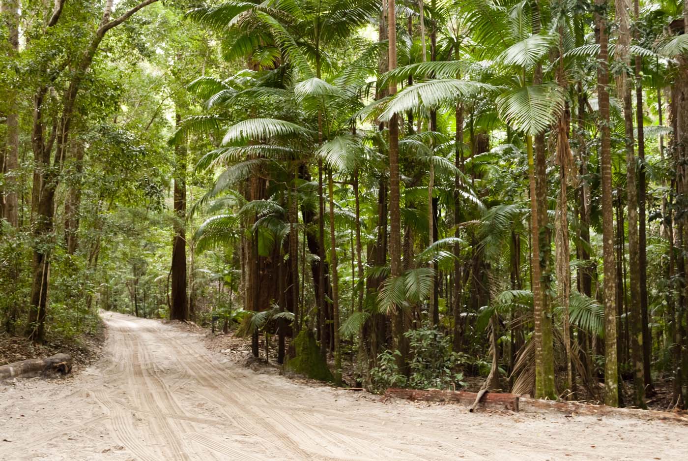 Kgari fraser island great walk (2)