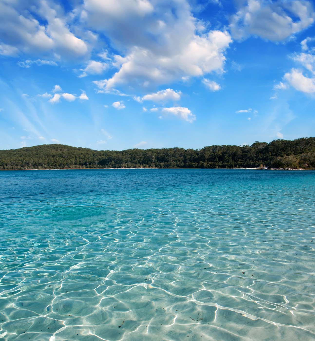 Kgari fraser island great walk (5)