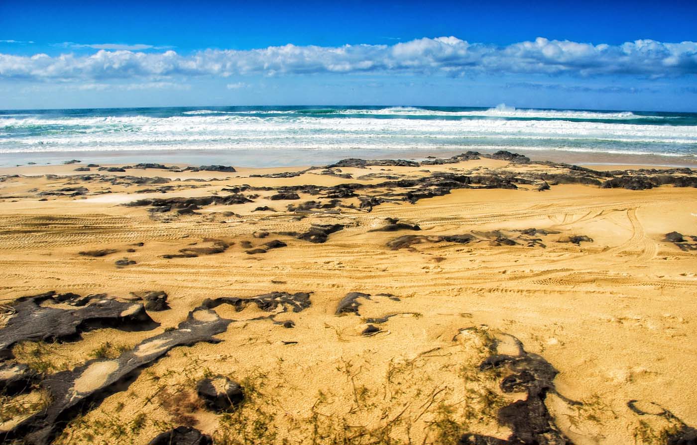 Kgari fraser island great walk (6)