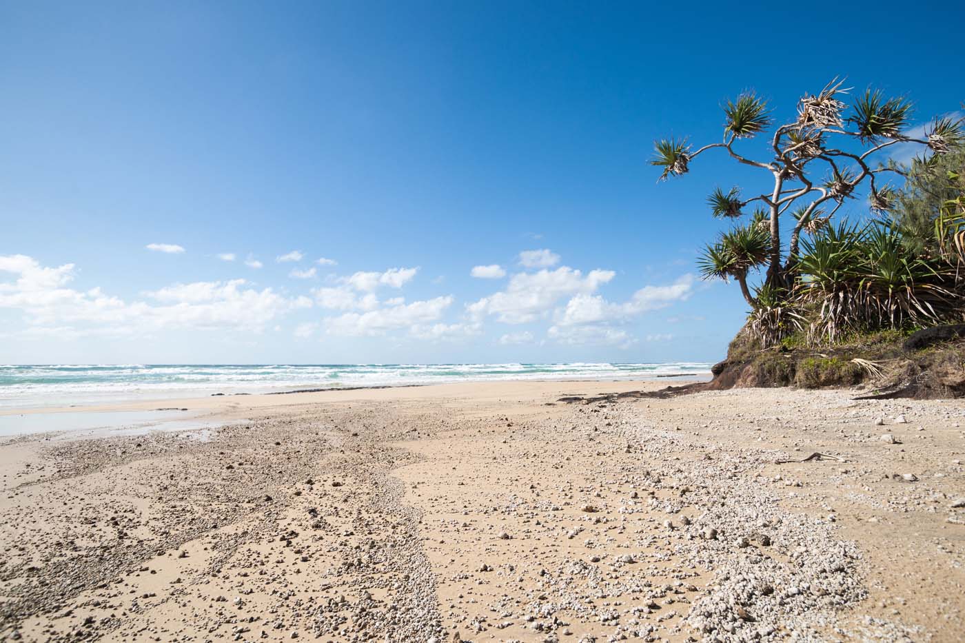 Kgari fraser island great walk (9)