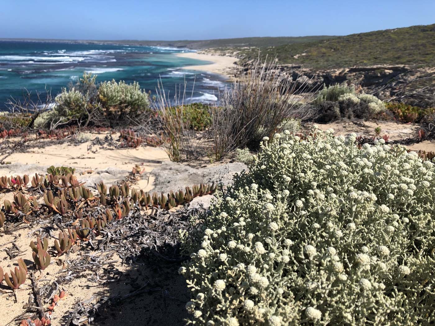 Kiwt day 2 maupertuis section (28)