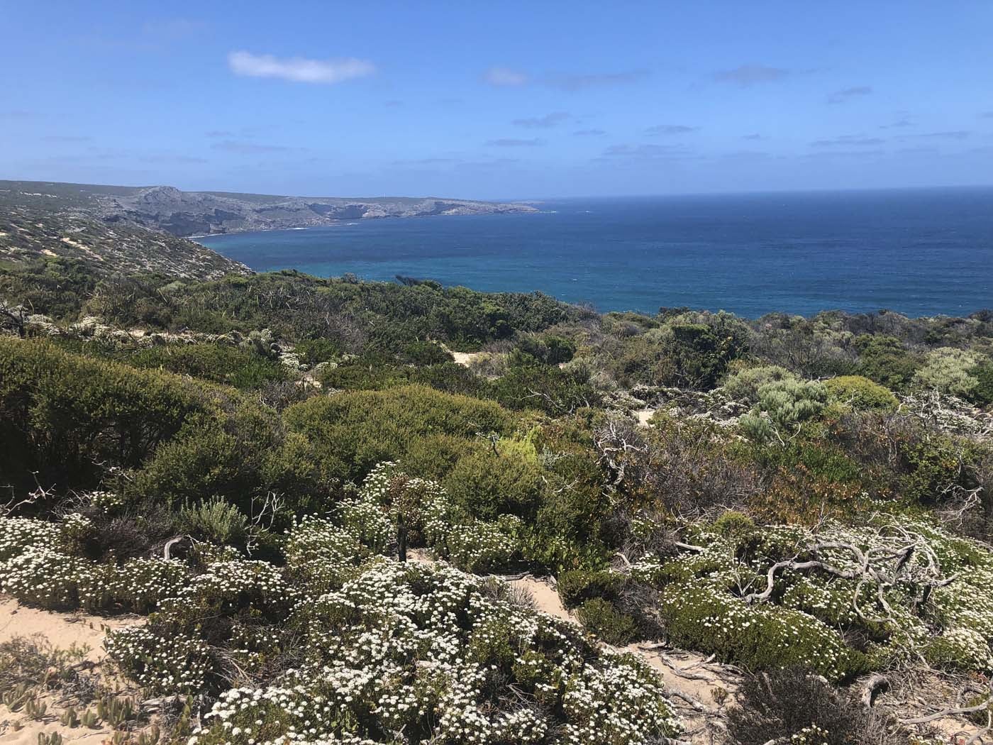 Kiwt day 2 maupertuis section (41)