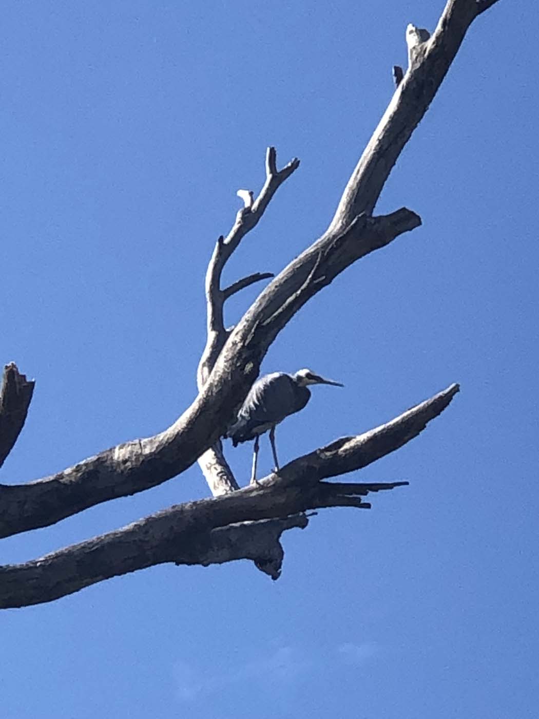 Kiwt day 4 grassdale section (12)