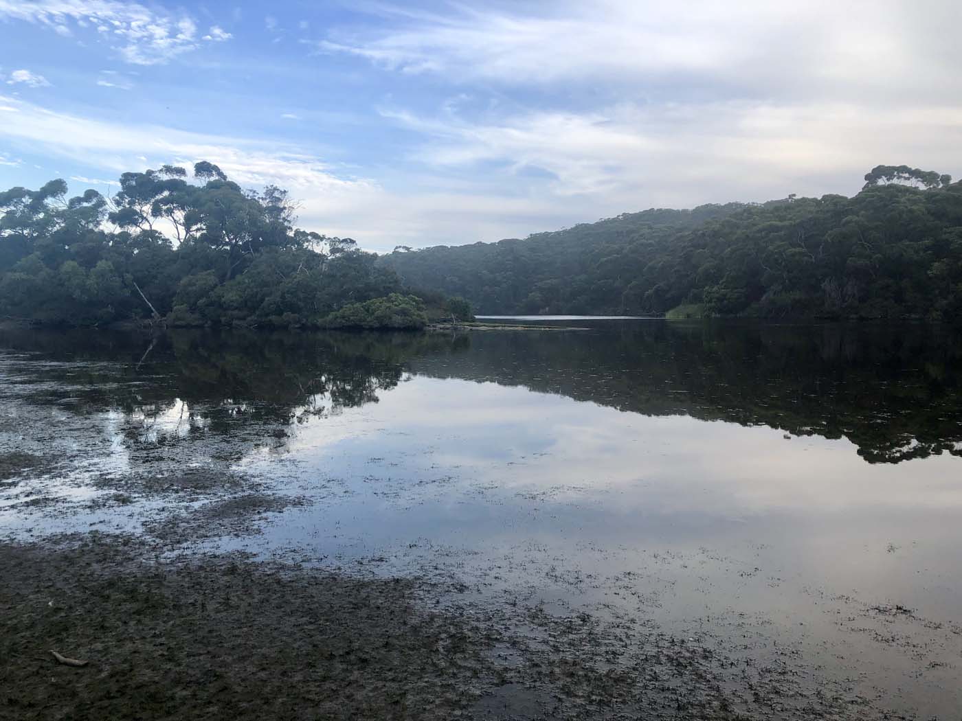 Kiwt day 4 grassdale section (53)