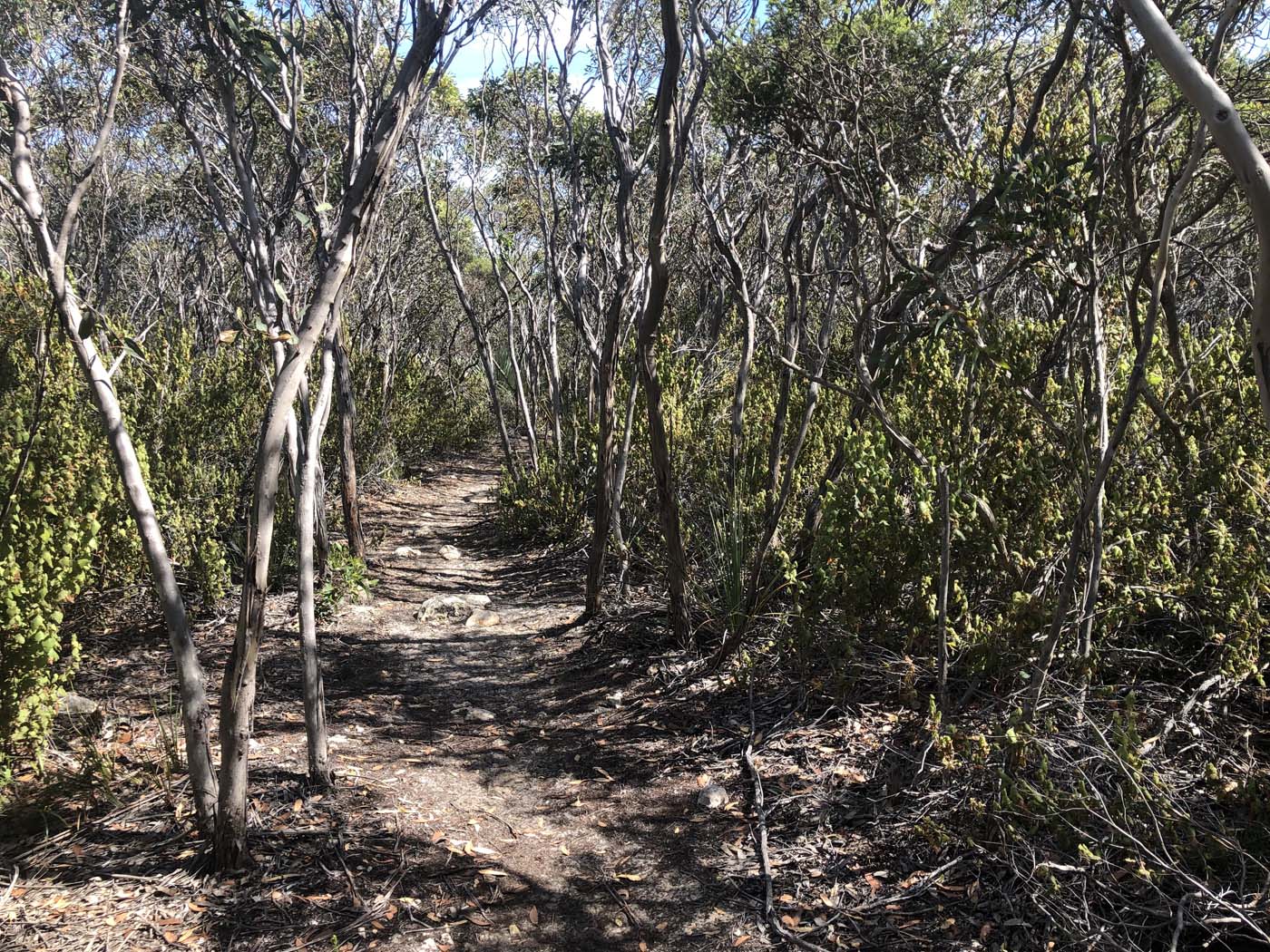 Kiwt day 4 grassdale section (8)
