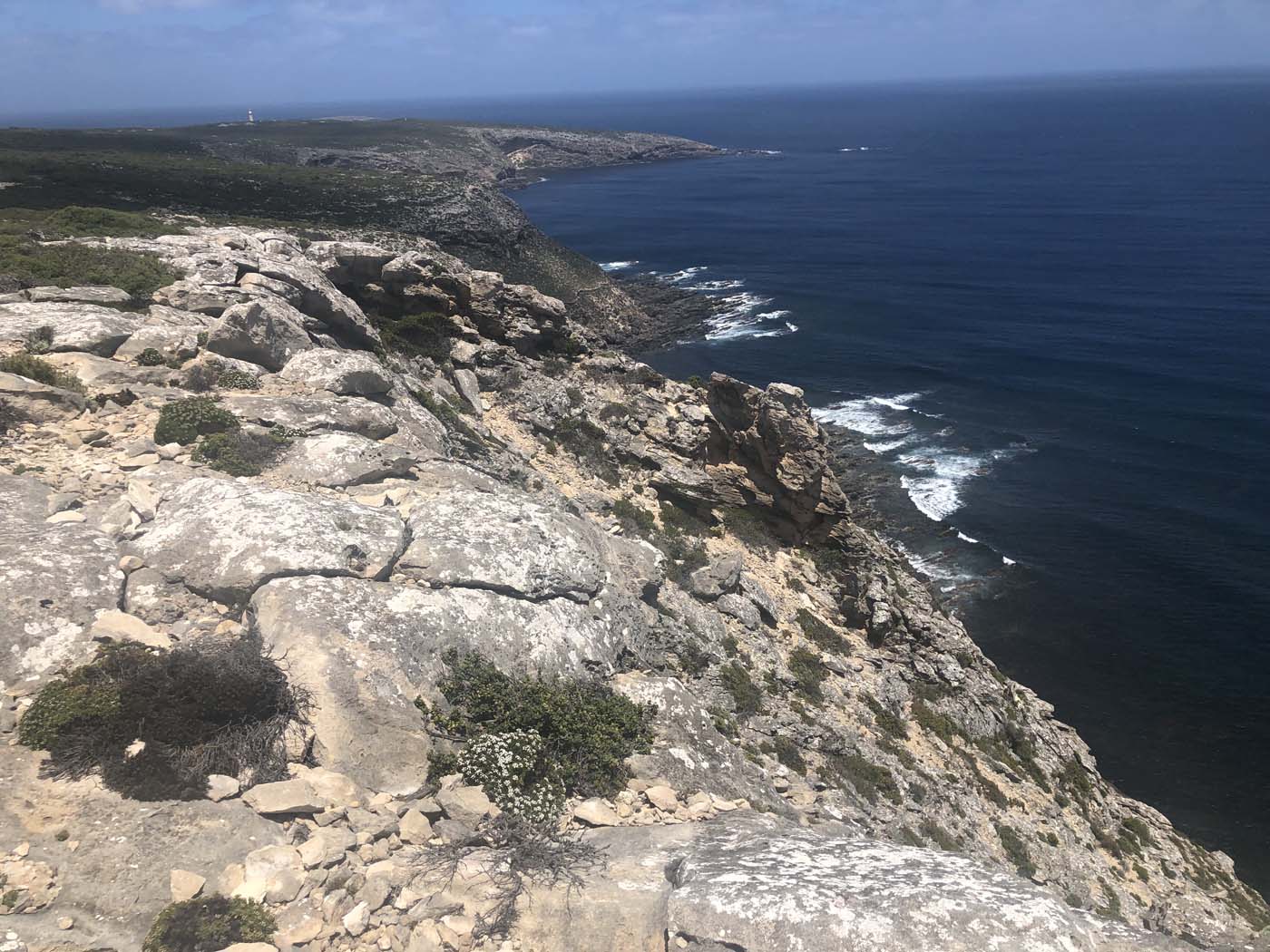 Kiwt admirals arch (17)