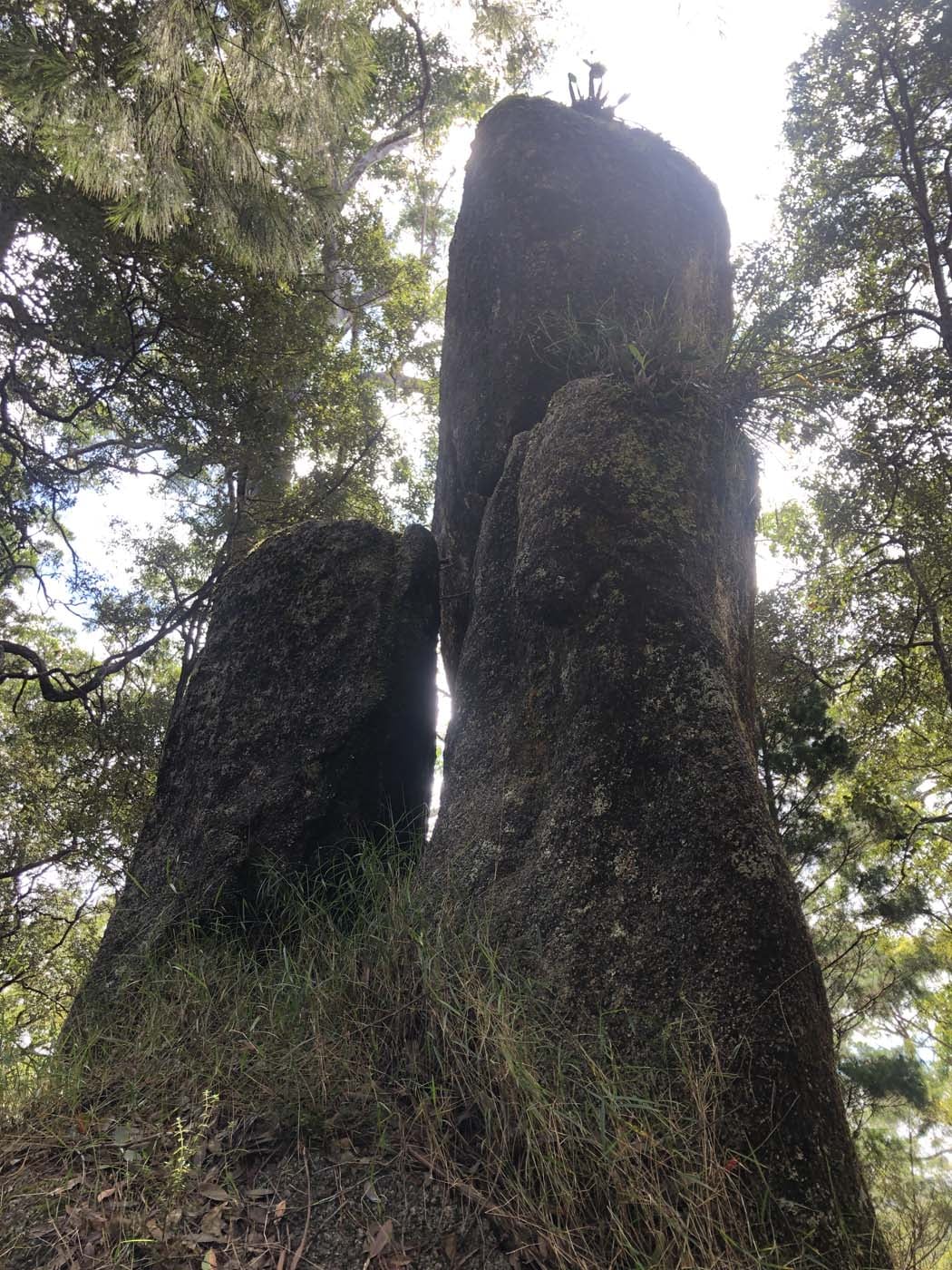 Kahlpahlim ridge trail (12)