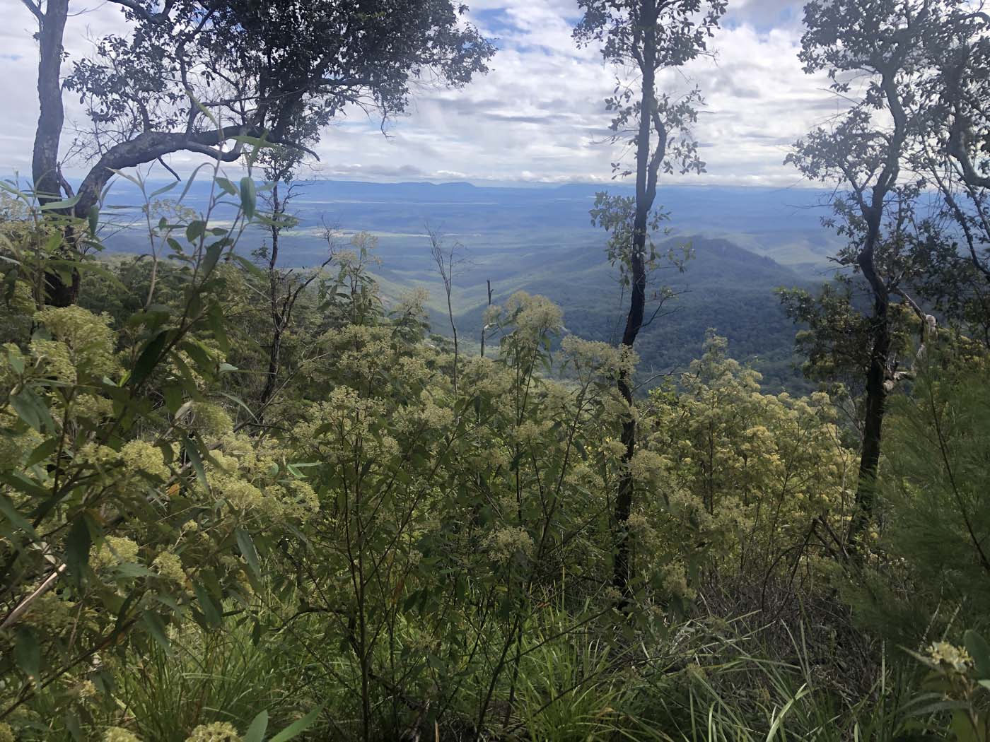 Kahlpahlim ridge trail (17)