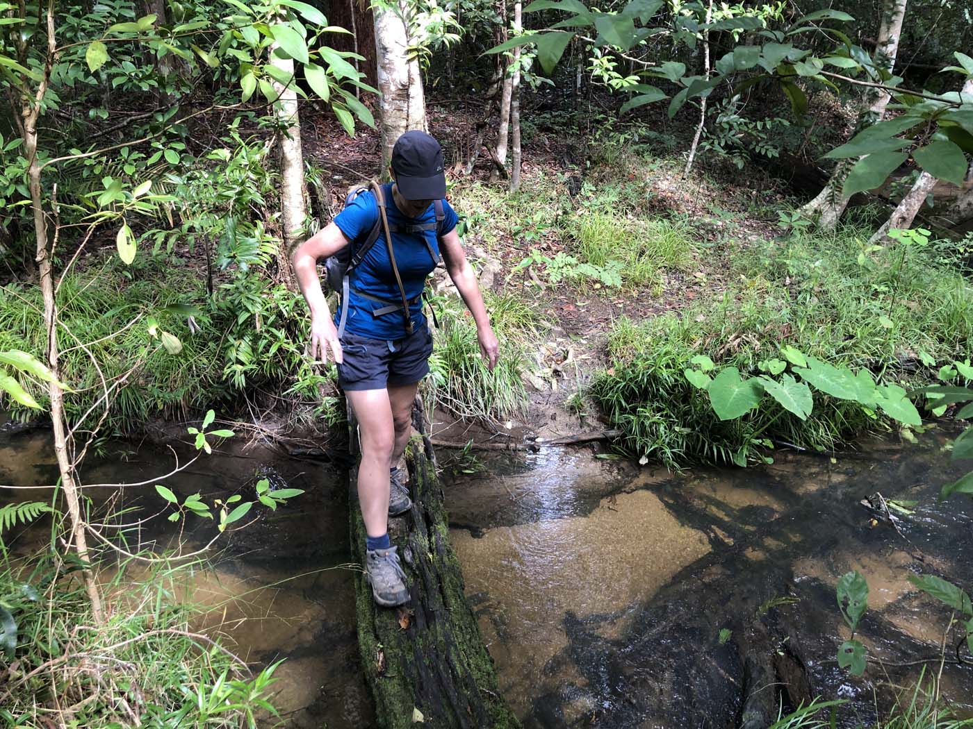 Kahlpahlim ridge trail (2)
