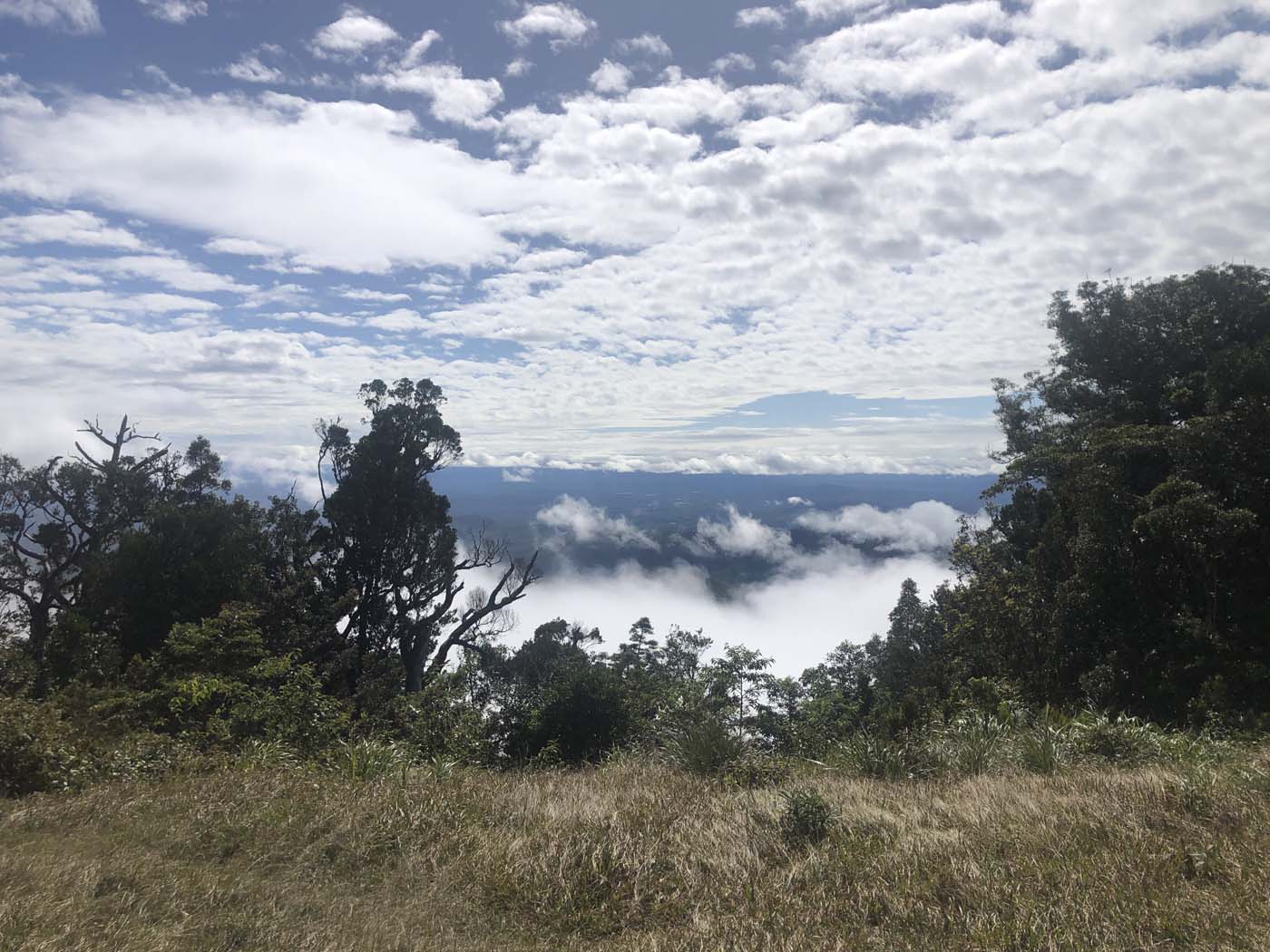 Kahlpahlim ridge trail (26)