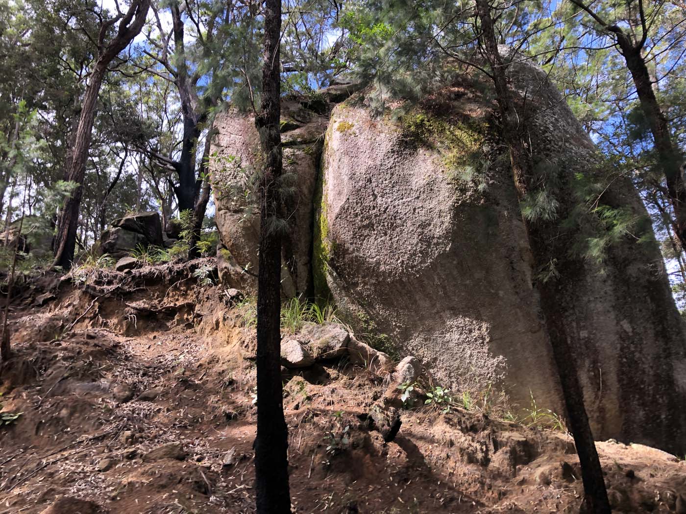 Kahlpahlim ridge trail (7)