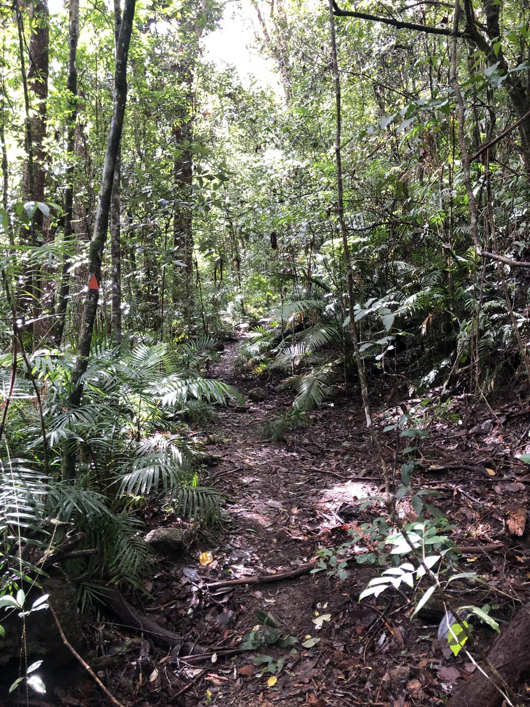 Kahlpahlim ridge trail (8)