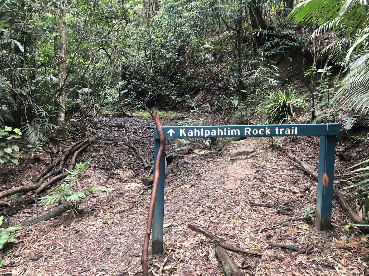 Kahlpahlim rock trail (16)