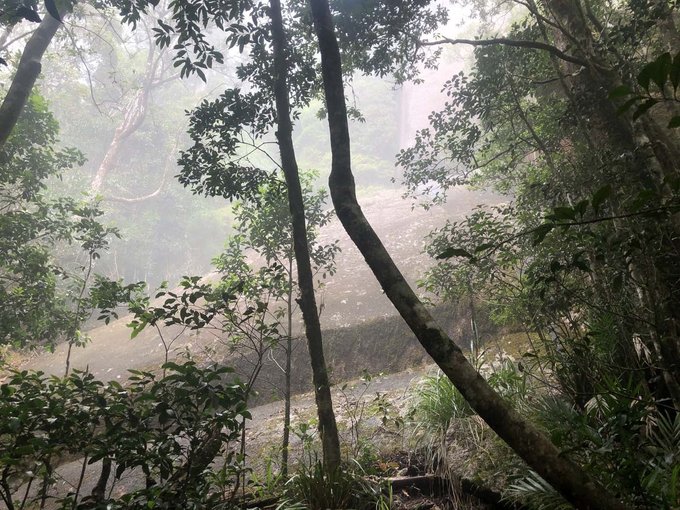 Kahlpahlim rock ridge trail (27)