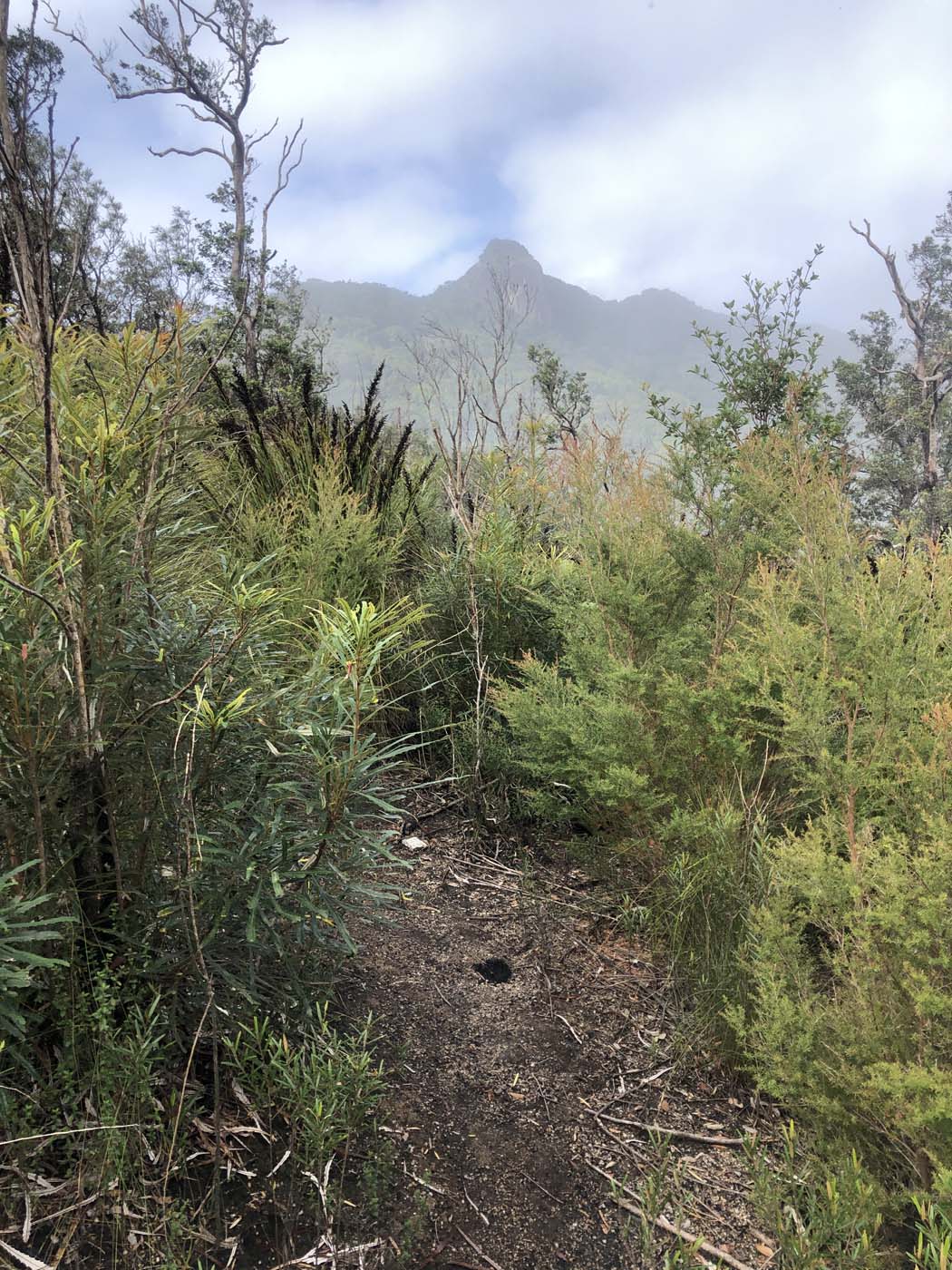 Kahlpahlim rock ridge trail (34)