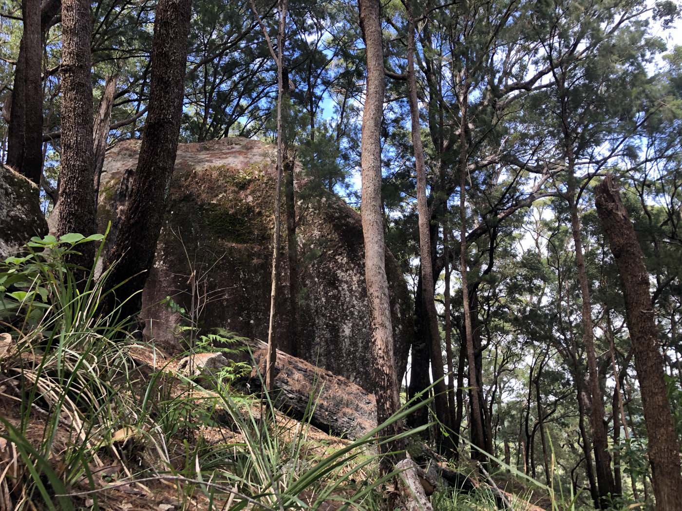 Kahlpahlim rock ridge trail (6)