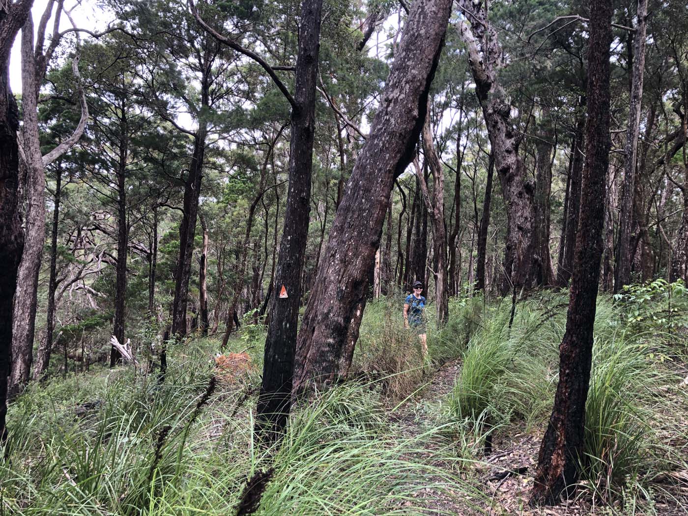 Kahlpahlim rock ridge trail (9)