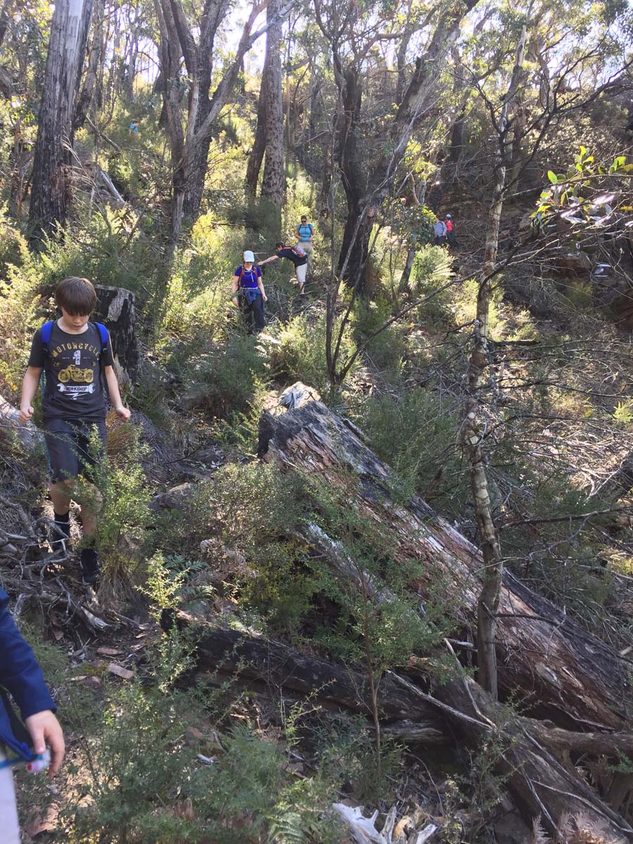 Kalymna falls mt william bomjinna hike 33