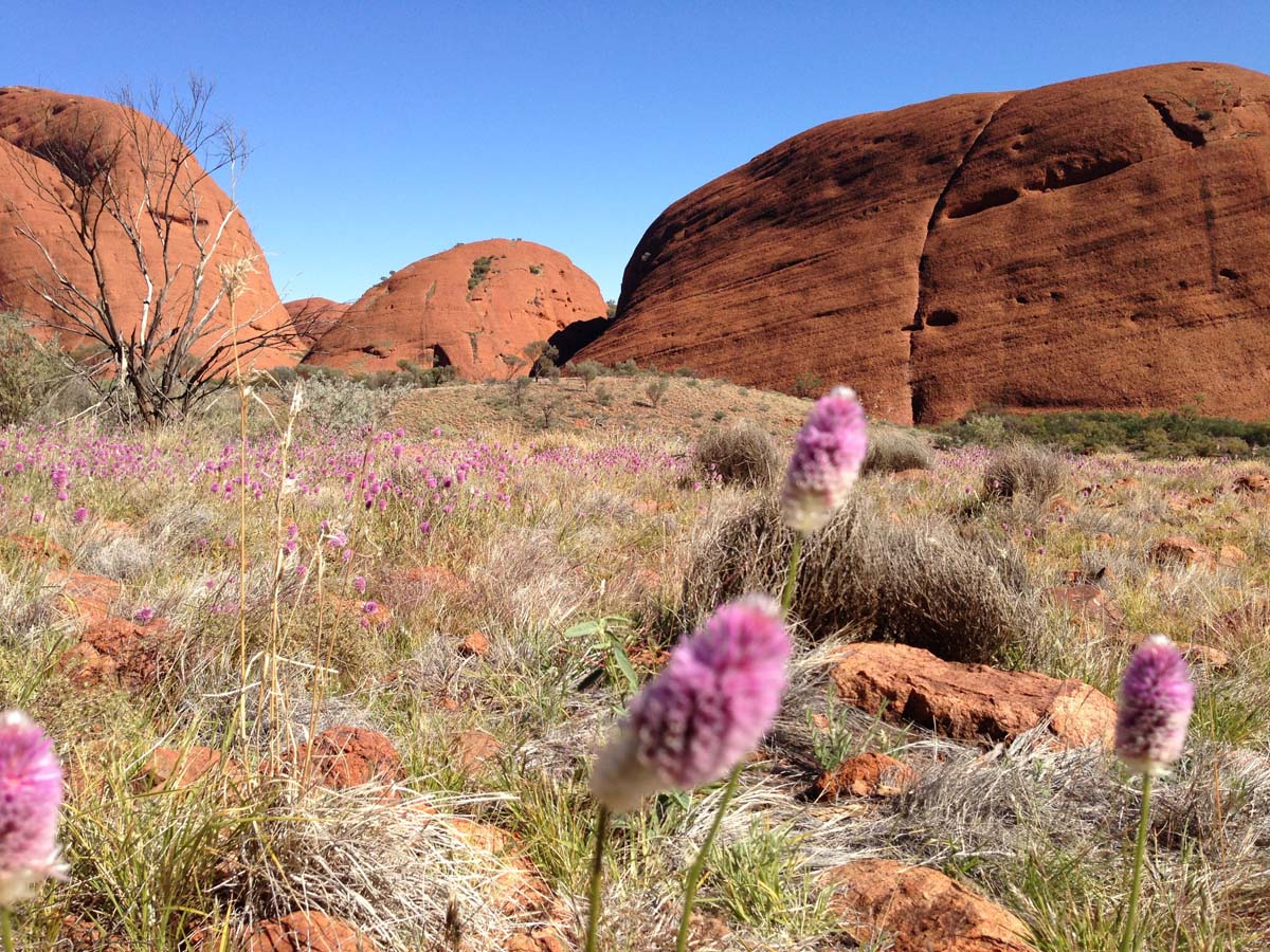Kata tjuta valley of the winds walk 13