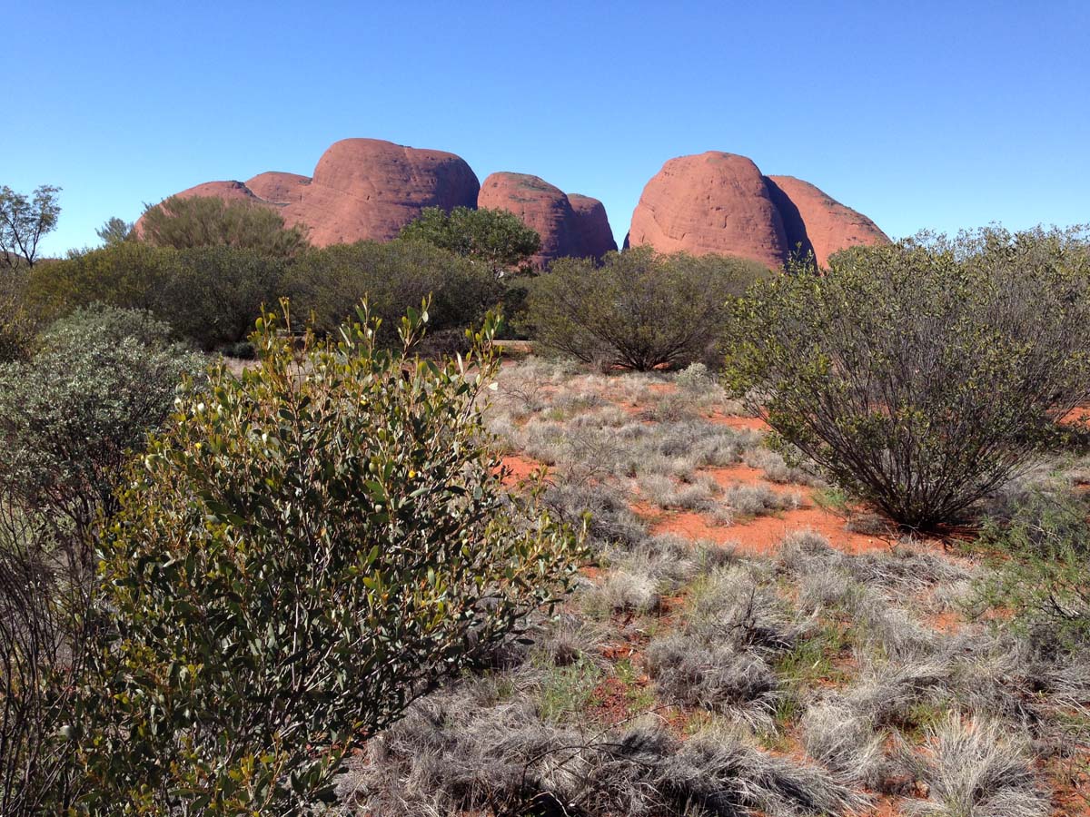 Kata tjuta valley of the winds walk 18