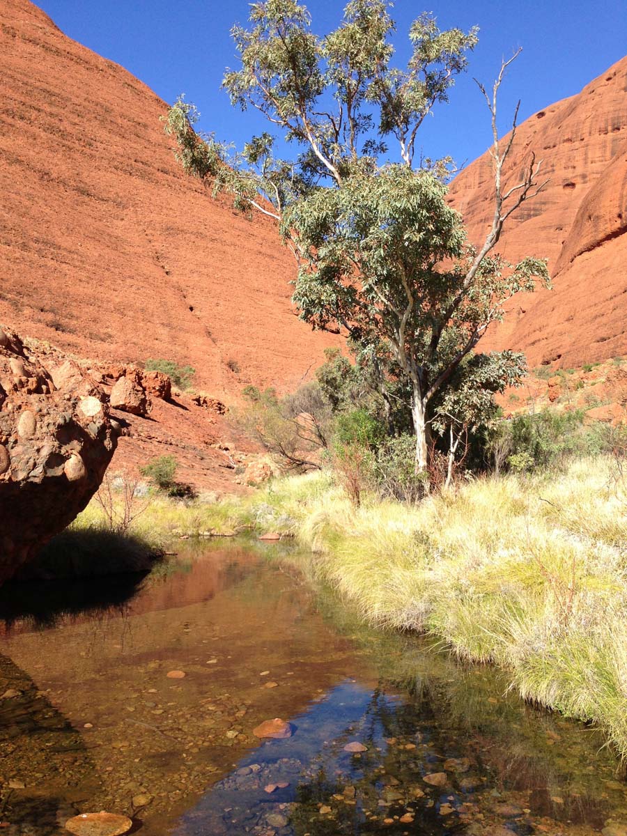 Kata tjuta valley of the winds walk 4
