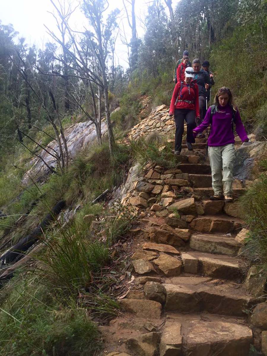 Keppell lookout & steavenson falls hike 1