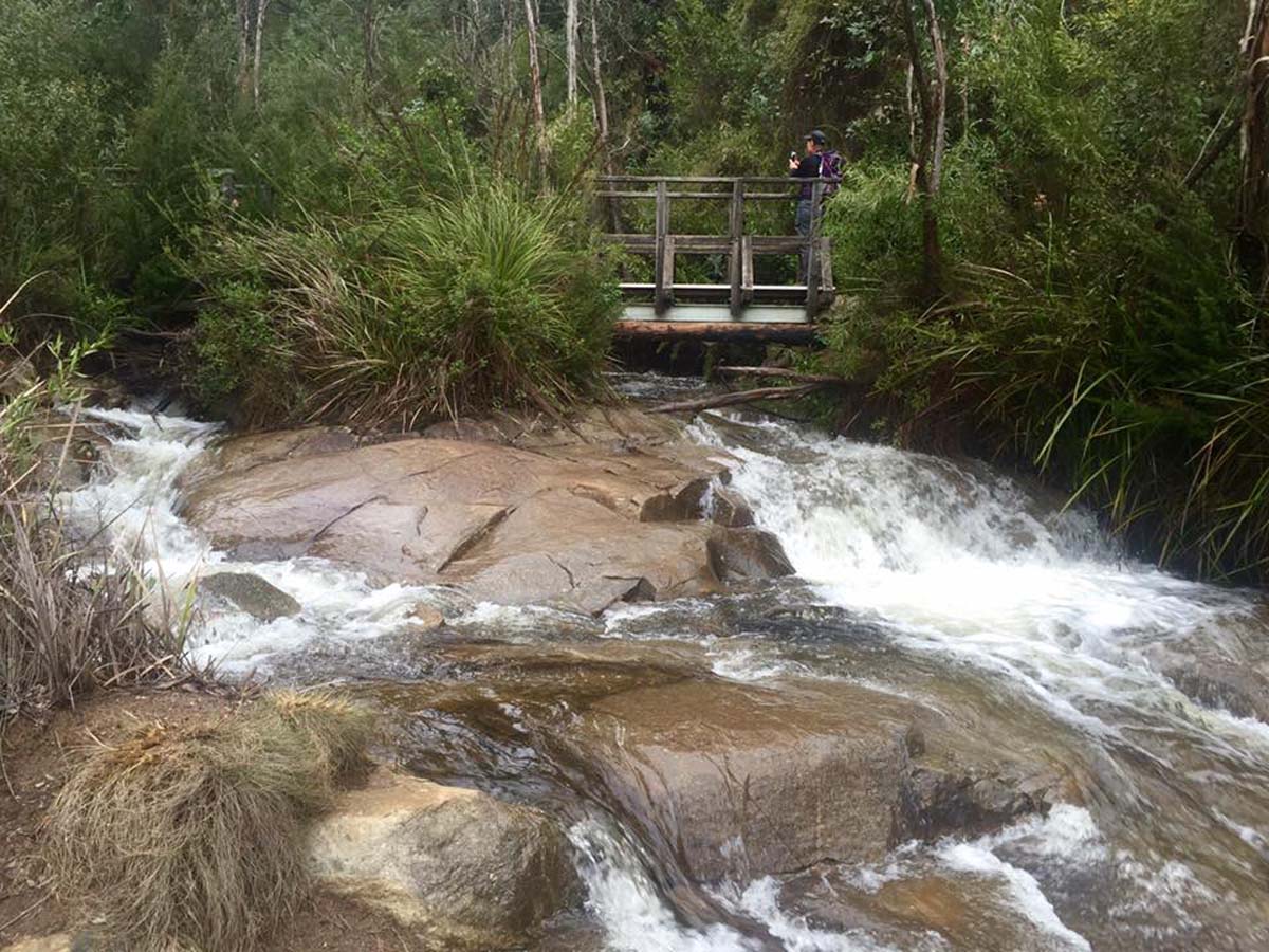 Keppell lookout & steavenson falls hike 10