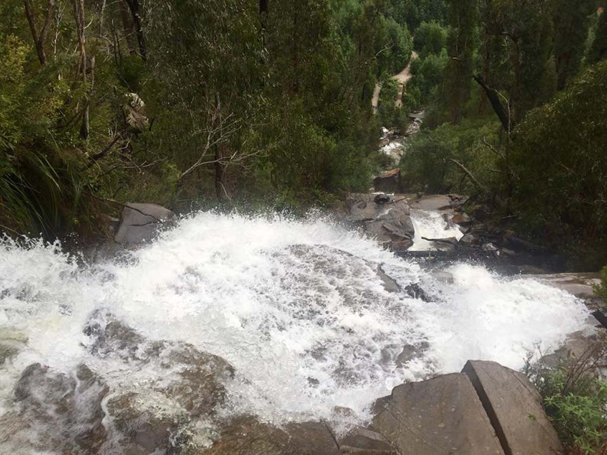 Keppell lookout & steavenson falls hike 12