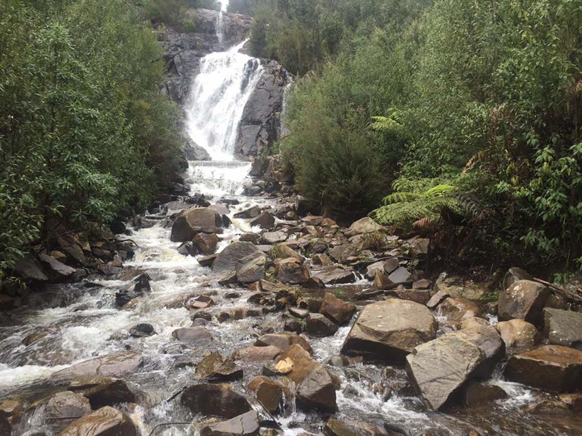 Keppell lookout & steavenson falls hike 14