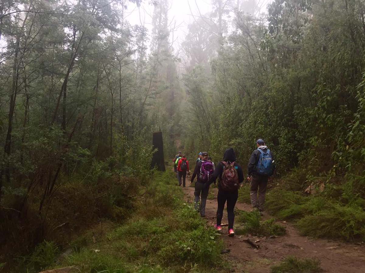 Keppell lookout & steavenson falls hike 2