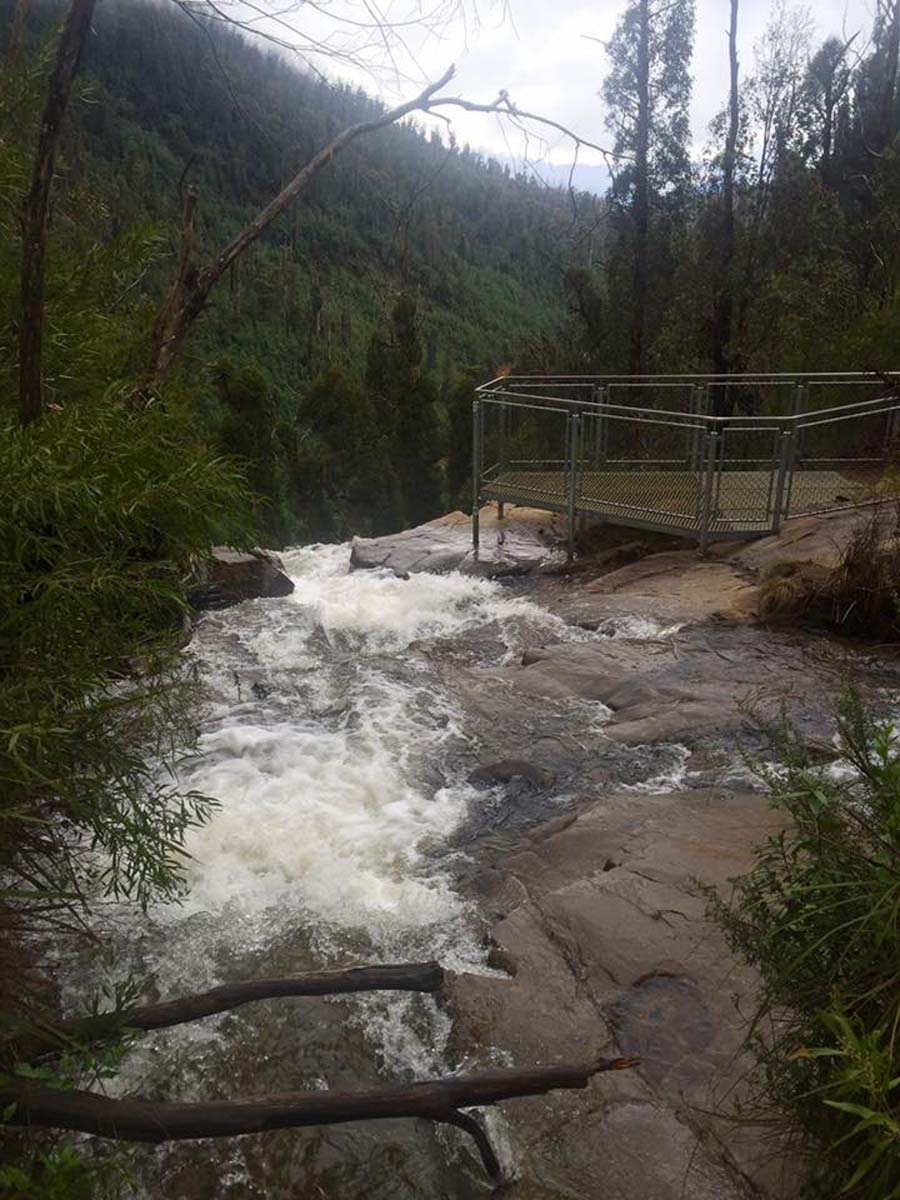 Keppell lookout & steavenson falls hike 3
