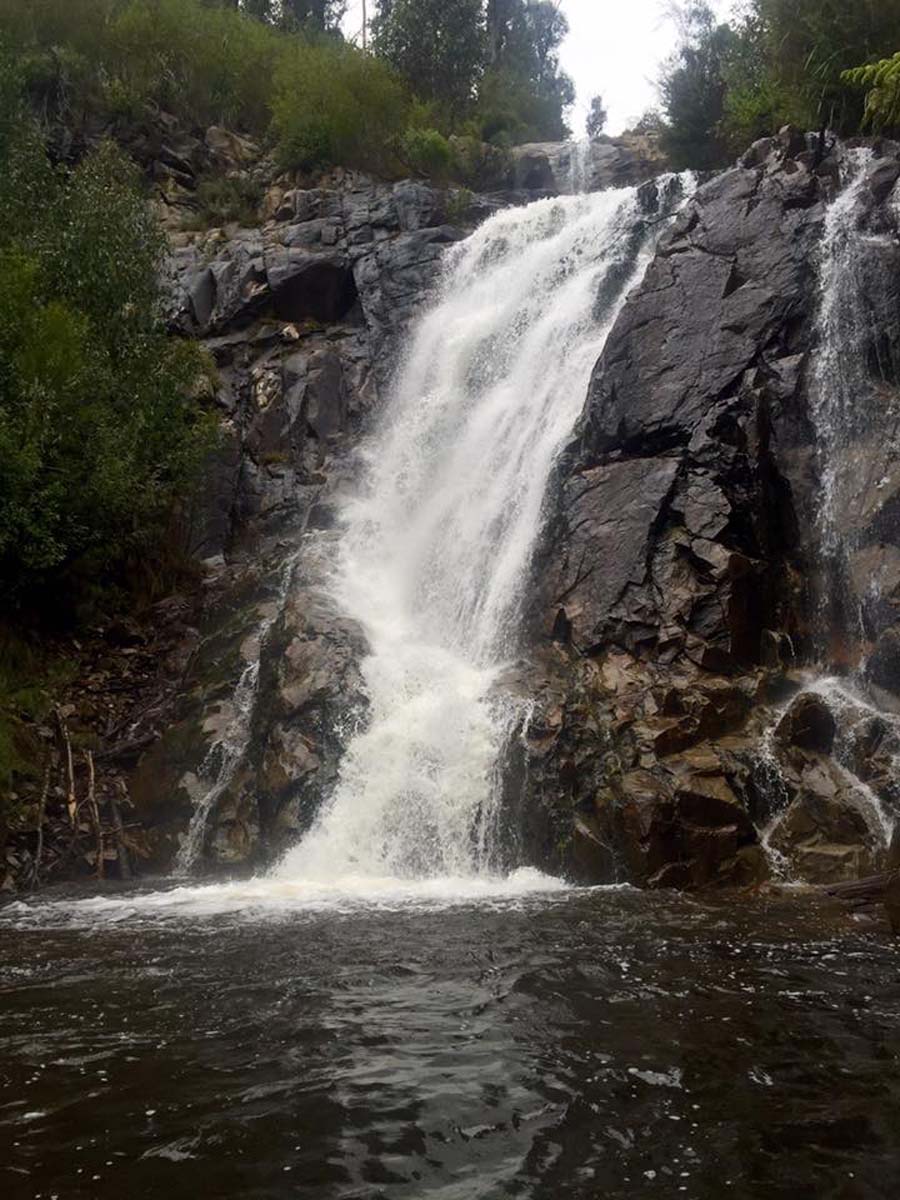 Keppell lookout & steavenson falls hike 6